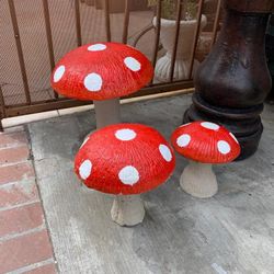Mushrooms For Sale