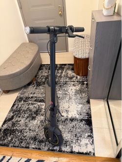 Segway G30  Scooter 🛴
