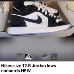 Brand New Nike Concords. Paid $225 Asking $150