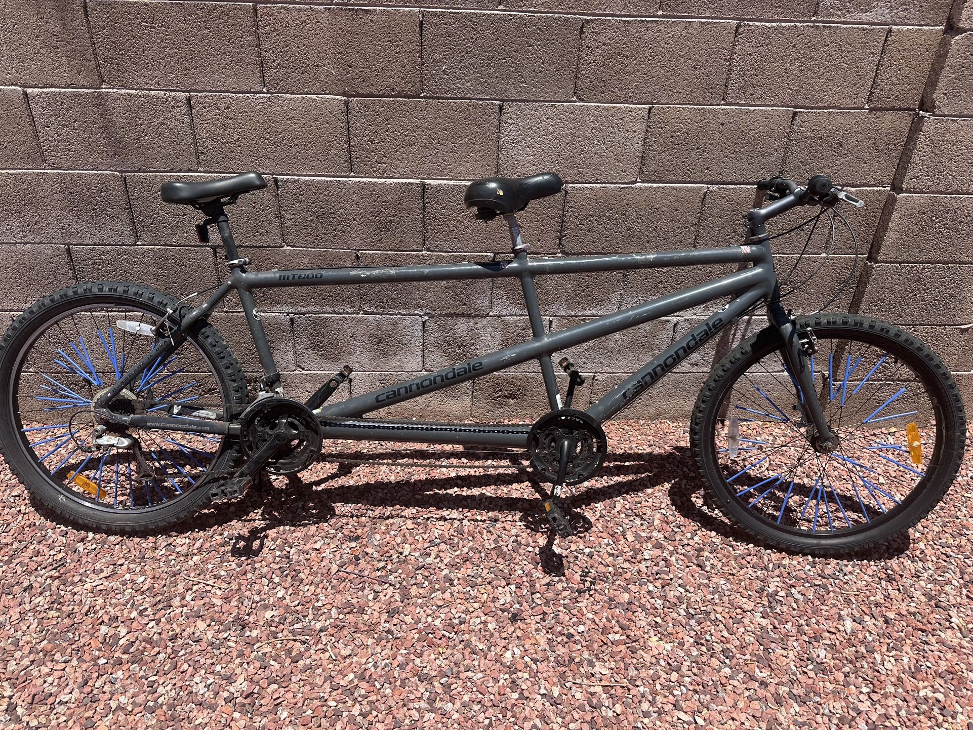 Cannondale 2 Person Bike