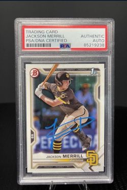 Jackson Merril Rc Auto 