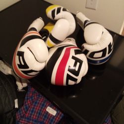 Sparring Gloves Seattle  Made .