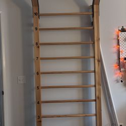 Scoliosis Exercise Bar 