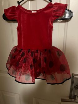 Gamboree Lady Bug Costume