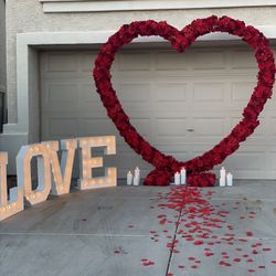 Heart Arch.. Proposal Set Up