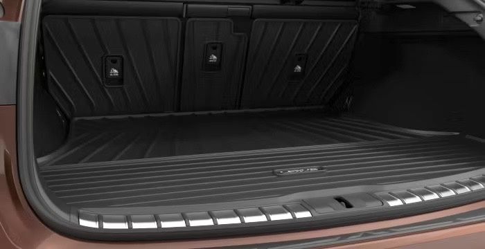 Lexus RX Cargo Mat + Rear Seat Covers