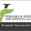 Vergara & Sons Sod Services