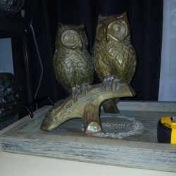 Brass Owls