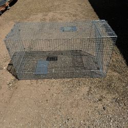 Animal Trap