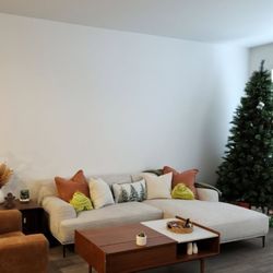 Mid Century Modern Couch
