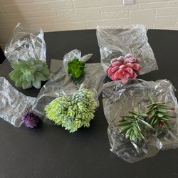 Set of 7 Small Fake Succulents