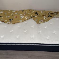 Bed Frame + Mattress For Sale