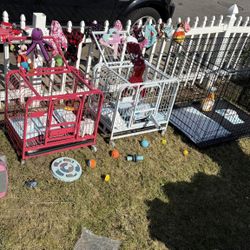 Pet Supplies 