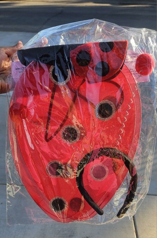 Ladybug Wing And Wand And Headband Set New