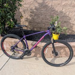 Specialized Mountain Bike