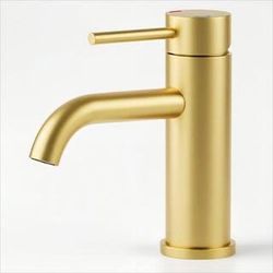 Single Handle Bathroom Faucet Lavatory Faucet Stainless Steel Single Hole-T10, Brushed Gold
