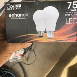 LED Light Bulbs