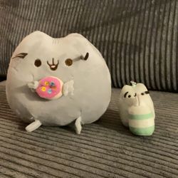pusheen