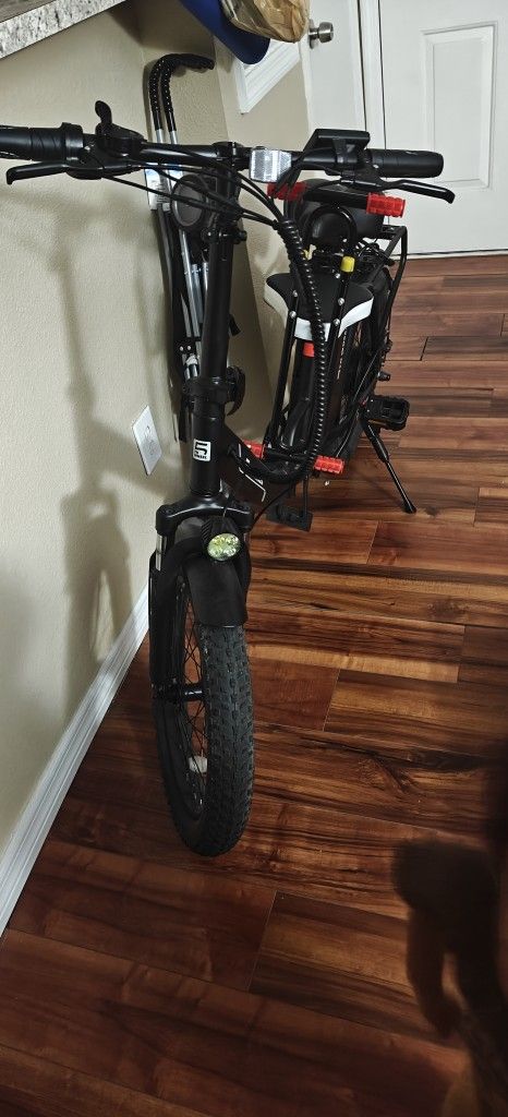 Adult E-bike