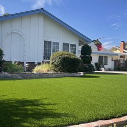 Artificial Grass /turf