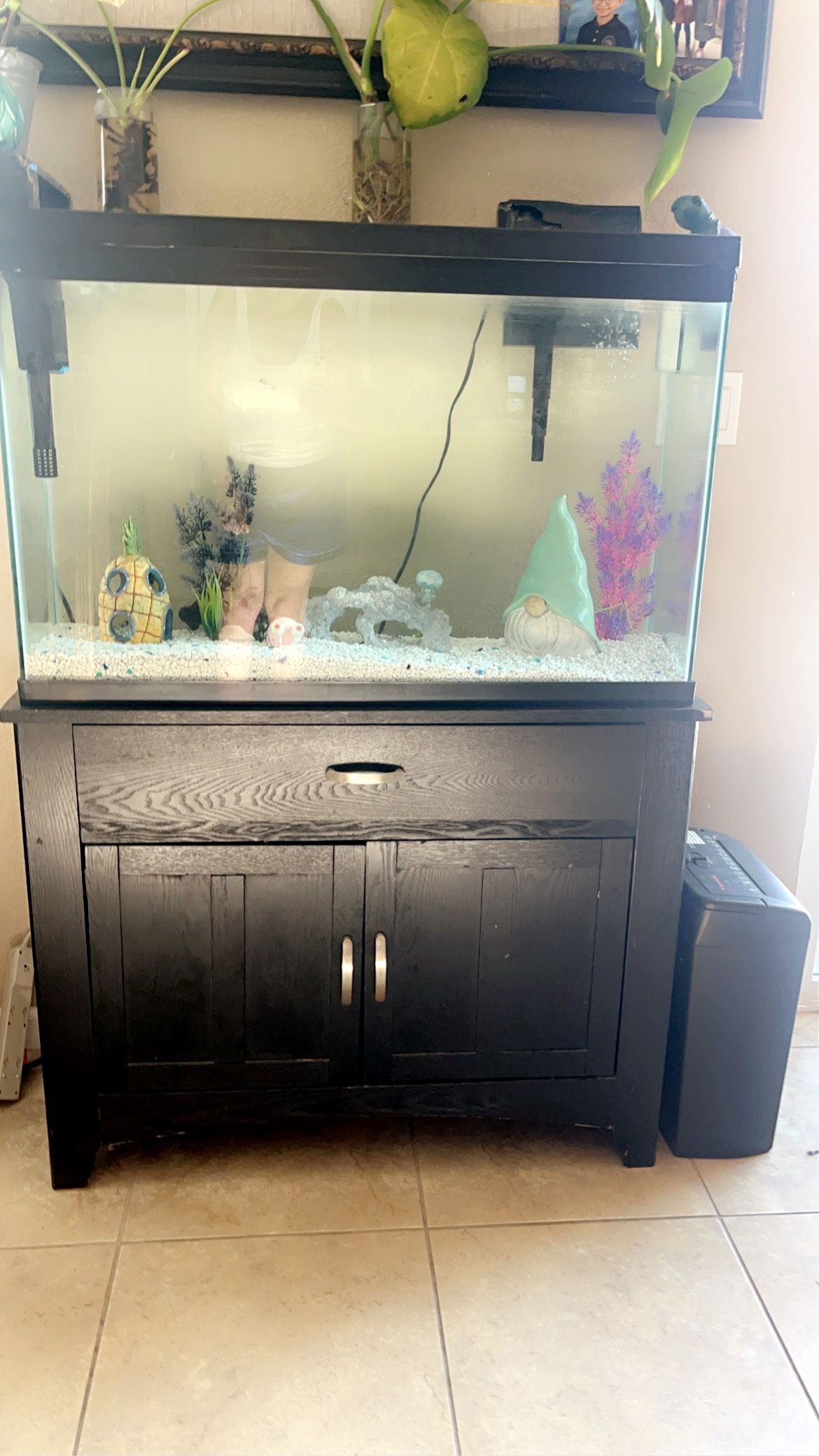55 Gallon Fish Tank 