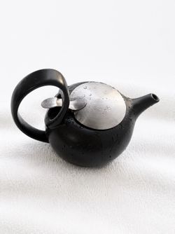 Black/Silver Matte Stainless Steel Teapot, Infuser Basket, Lid, 1 Cup