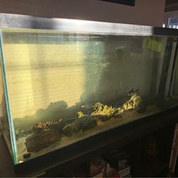 55 gallon aquarium