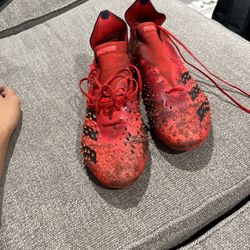 Adidas Predator