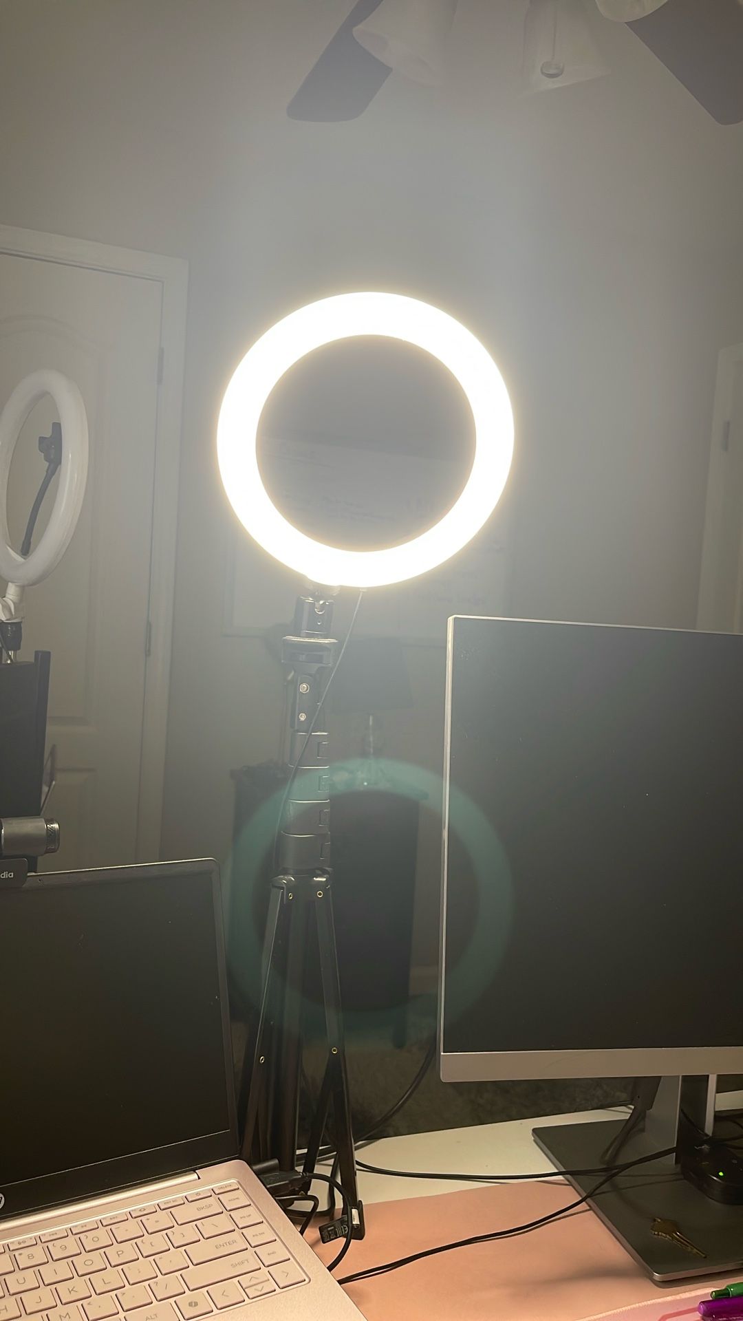 5ft Tripod with Ring light