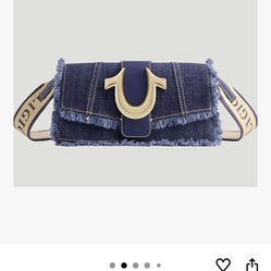 True Religion Purse