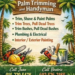 Palm Trimming 