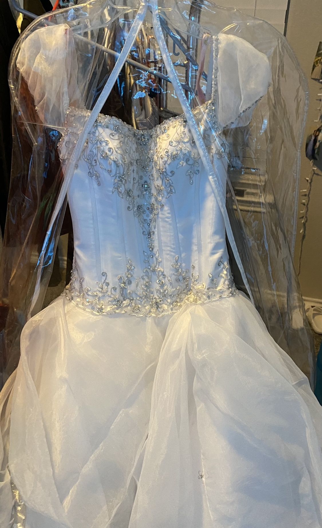 Quinceañera Dress