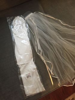 Wedding Vail and Bridal Gloves