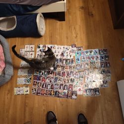 Playing Cards 