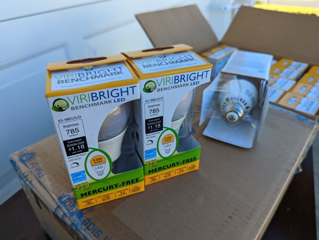 Light Bulb