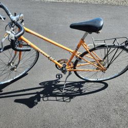 Schwinn LE TOUR III