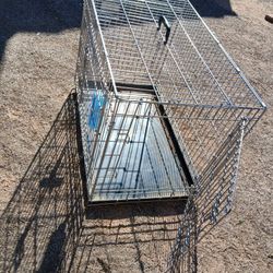 Dog Crate