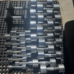  Chrome Dumbbell Weights and Dumbbell Rack 