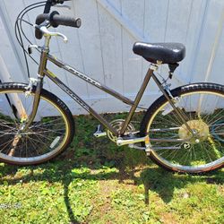 Schwinn Cruiser supreme,  shifter for the speak control is broken? Still rides fine. Just can't change the speed, good condition, ready to roll. Vinta
