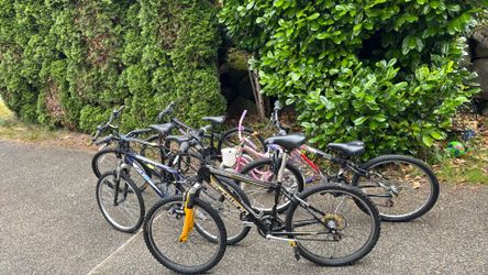 FREE BICYCLES!!!  Must take ALL 7!!!