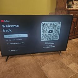 VIZIO SMART TV  48 "