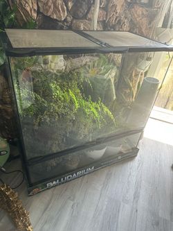 Zoomed Paludarium / Vivarium / Terrarium
