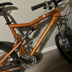 Santa Cruz blur 2008 