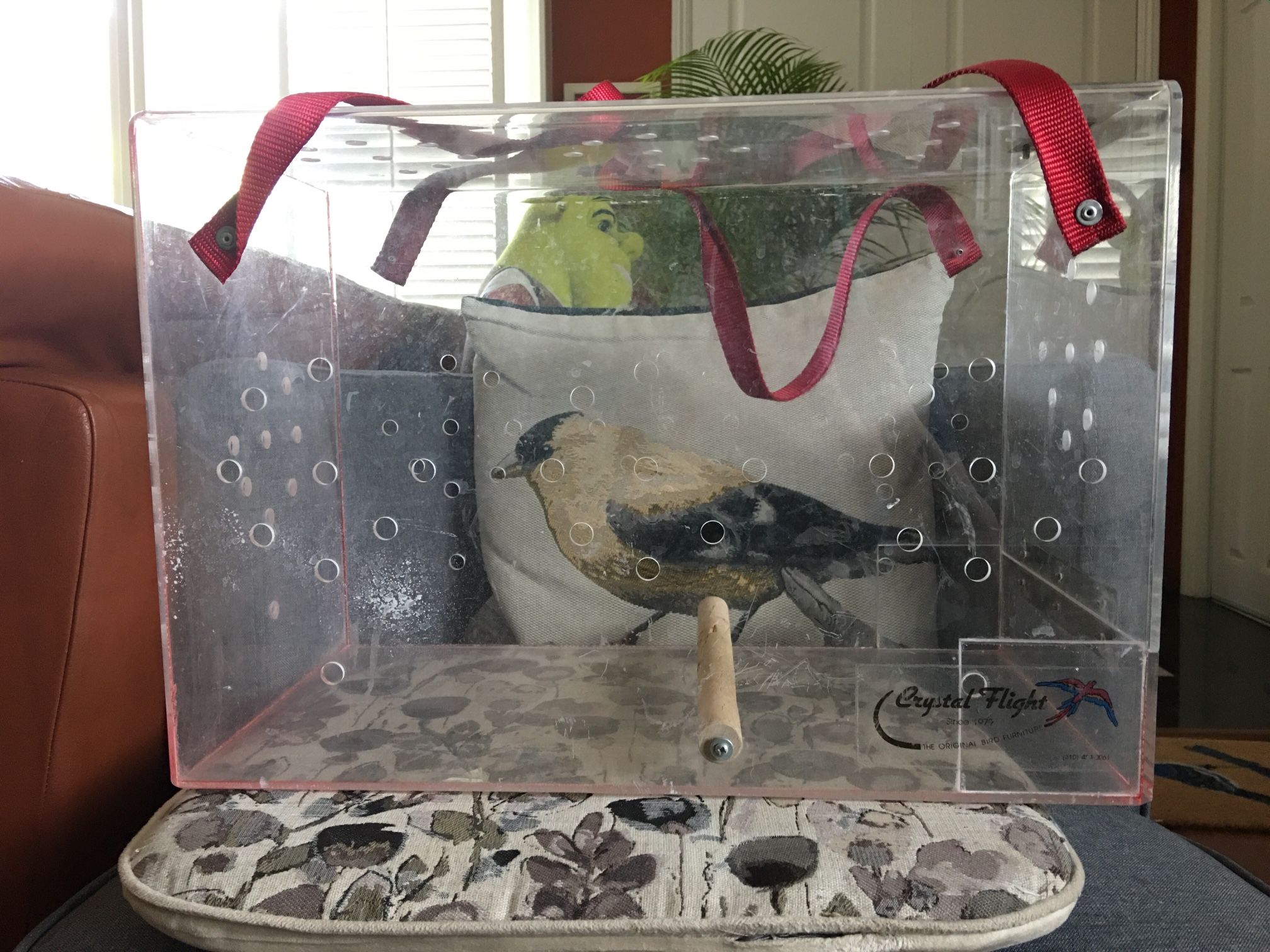 Crystal Flight acrylic large Bird Carrier 19” Long 10” wide 13” tall