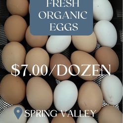 Fresh organic eggs 