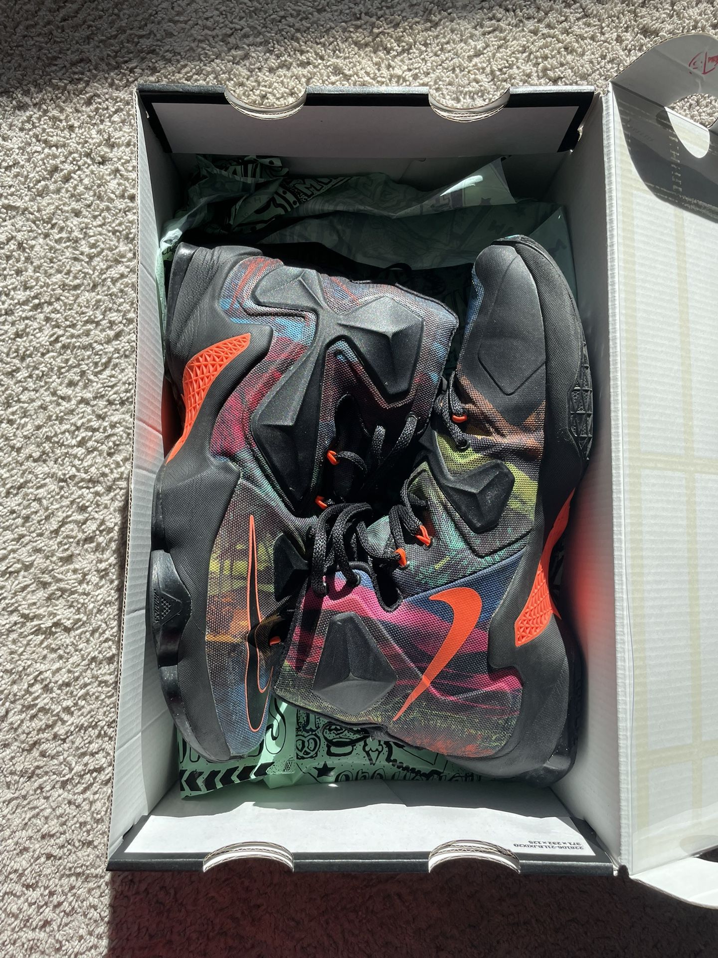 LeBron 13 ‘Akronite’