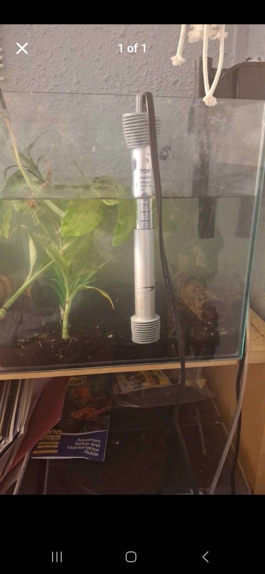 6 Gallon Fish Tank