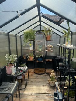 Greenhouse 6ft x 10ft