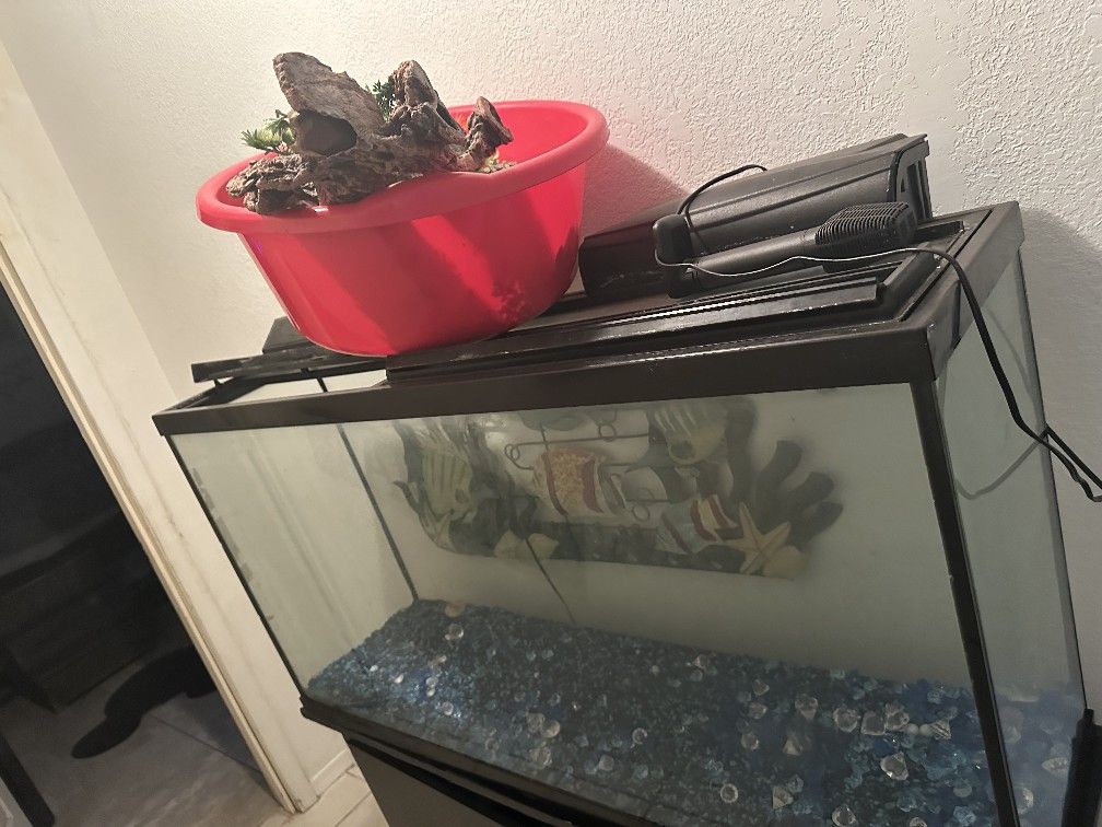fish tank & accessories