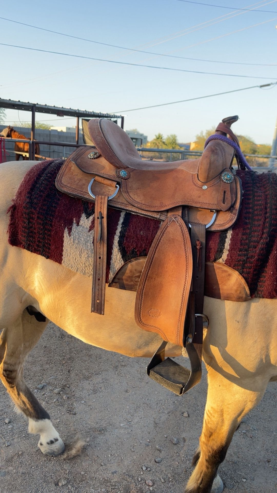 Saddle